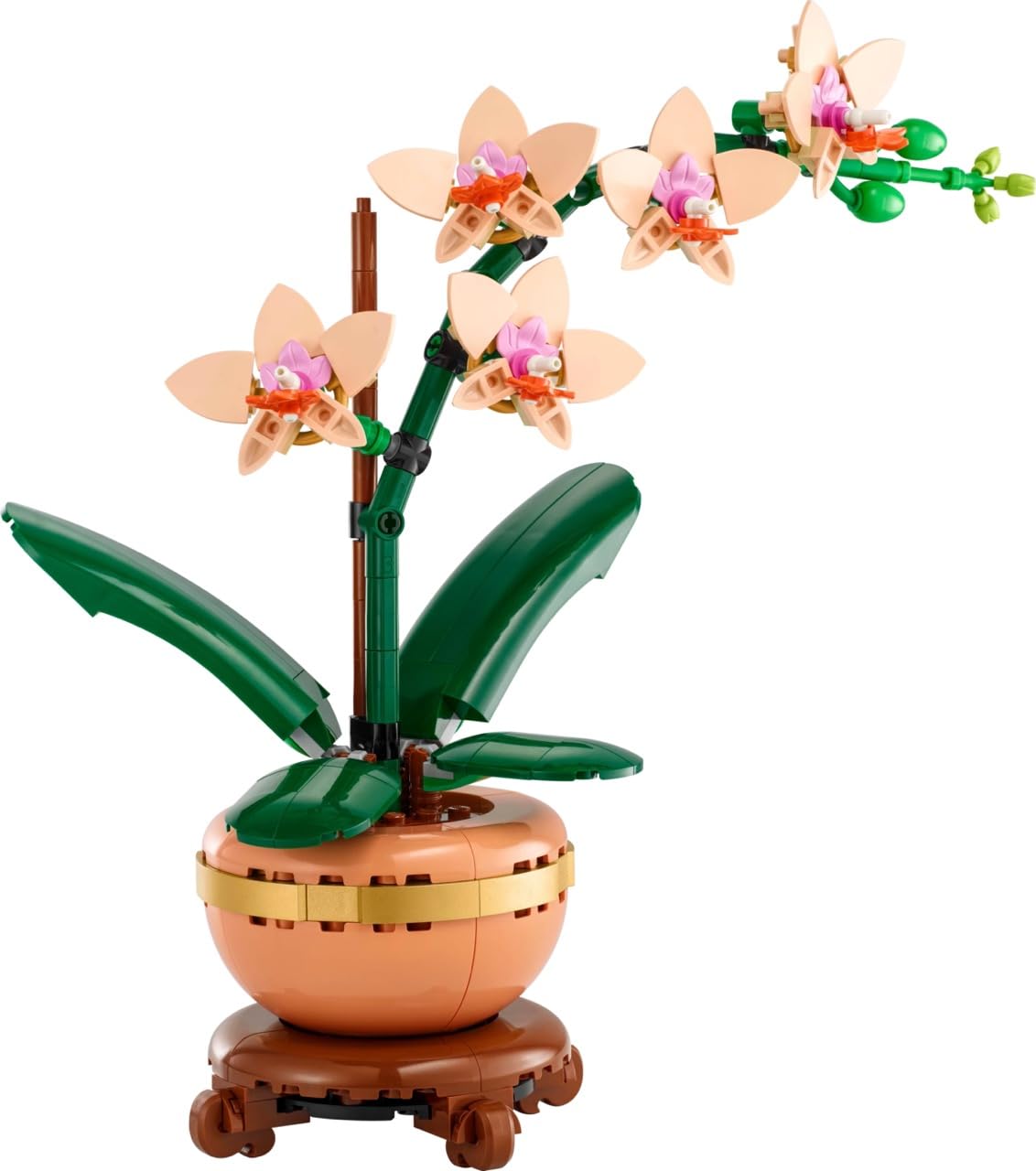 LEGO Botanicals – Cactus en Fleurs (11509) | 482 pièces | Décoration nature | Dès 9 ans - LumeraKids