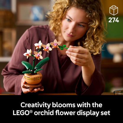 LEGO Botanicals – Cactus en Fleurs (11509) | 482 pièces | Décoration nature | Dès 9 ans - LumeraKids