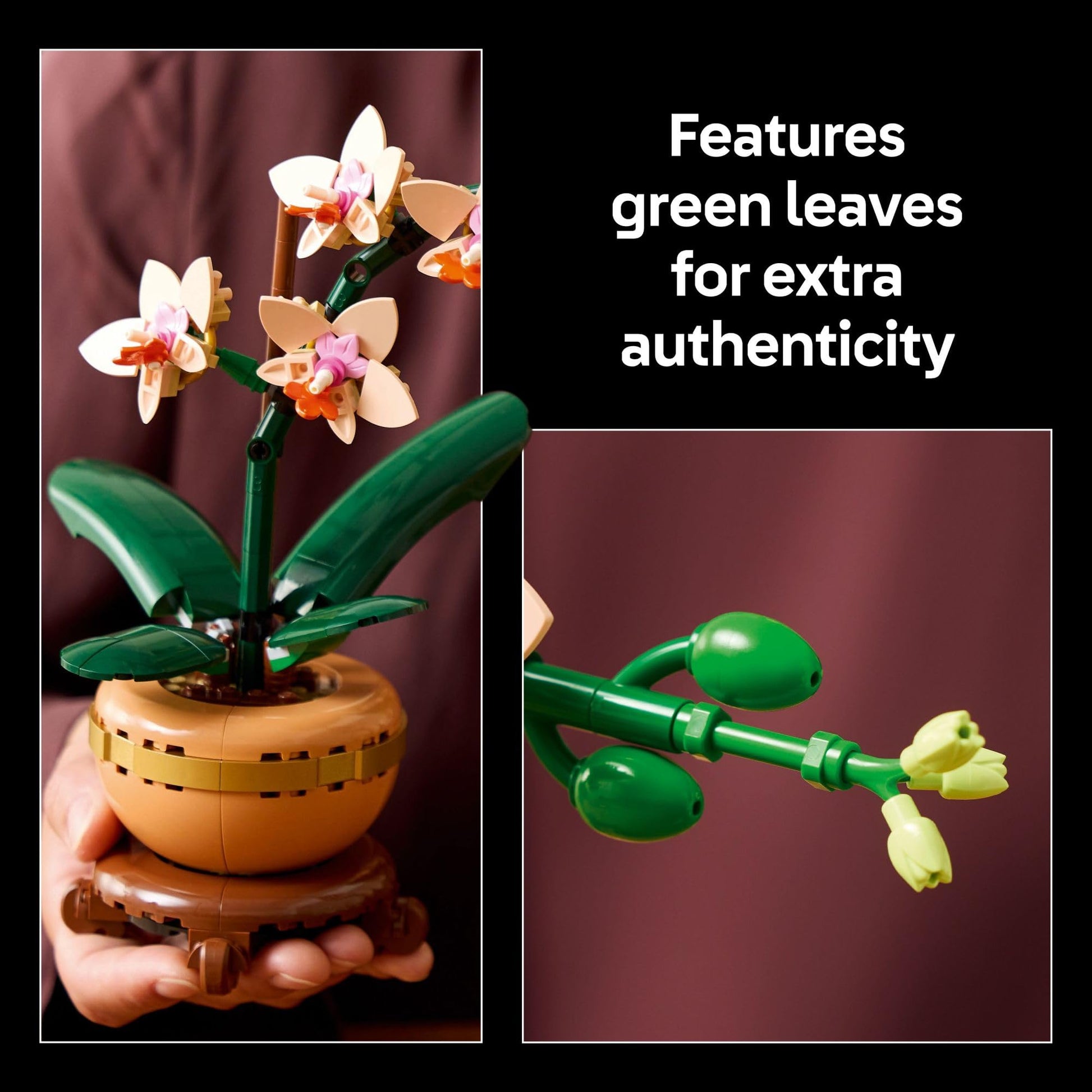 LEGO Botanicals – Cactus en Fleurs (11509) | 482 pièces | Décoration nature | Dès 9 ans - LumeraKids
