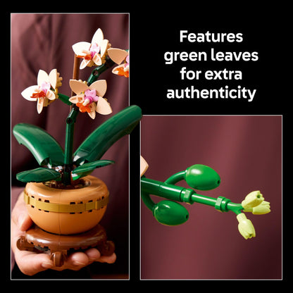 LEGO Botanicals – Cactus en Fleurs (11509) | 482 pièces | Décoration nature | Dès 9 ans - LumeraKids