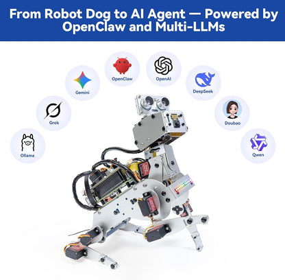 SunFounder PiDog – Kit robot chien IA pour Raspberry Pi (ChatGPT, Python, caméra)