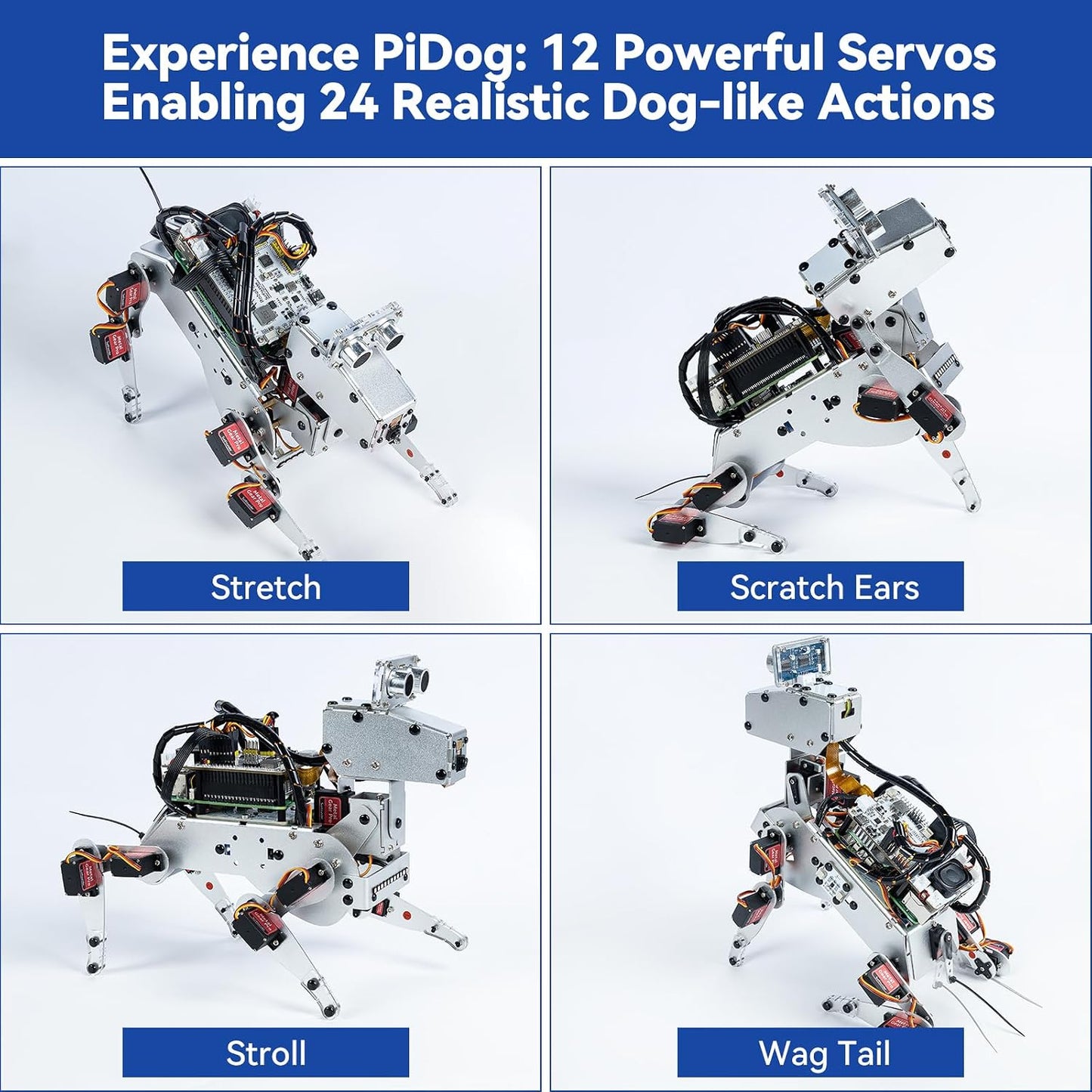 SunFounder PiDog – Kit robot chien IA pour Raspberry Pi (ChatGPT, Python, caméra)