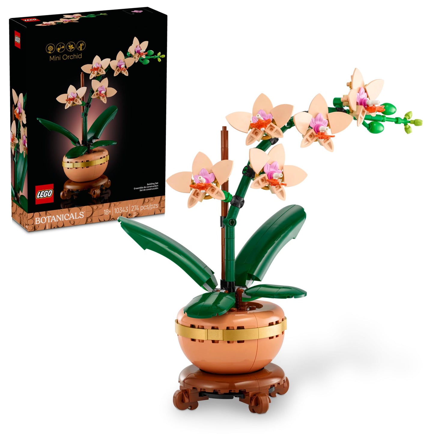 LEGO Botanicals – Cactus en Fleurs (11509) | 482 pièces | Décoration nature | Dès 9 ans - LumeraKids