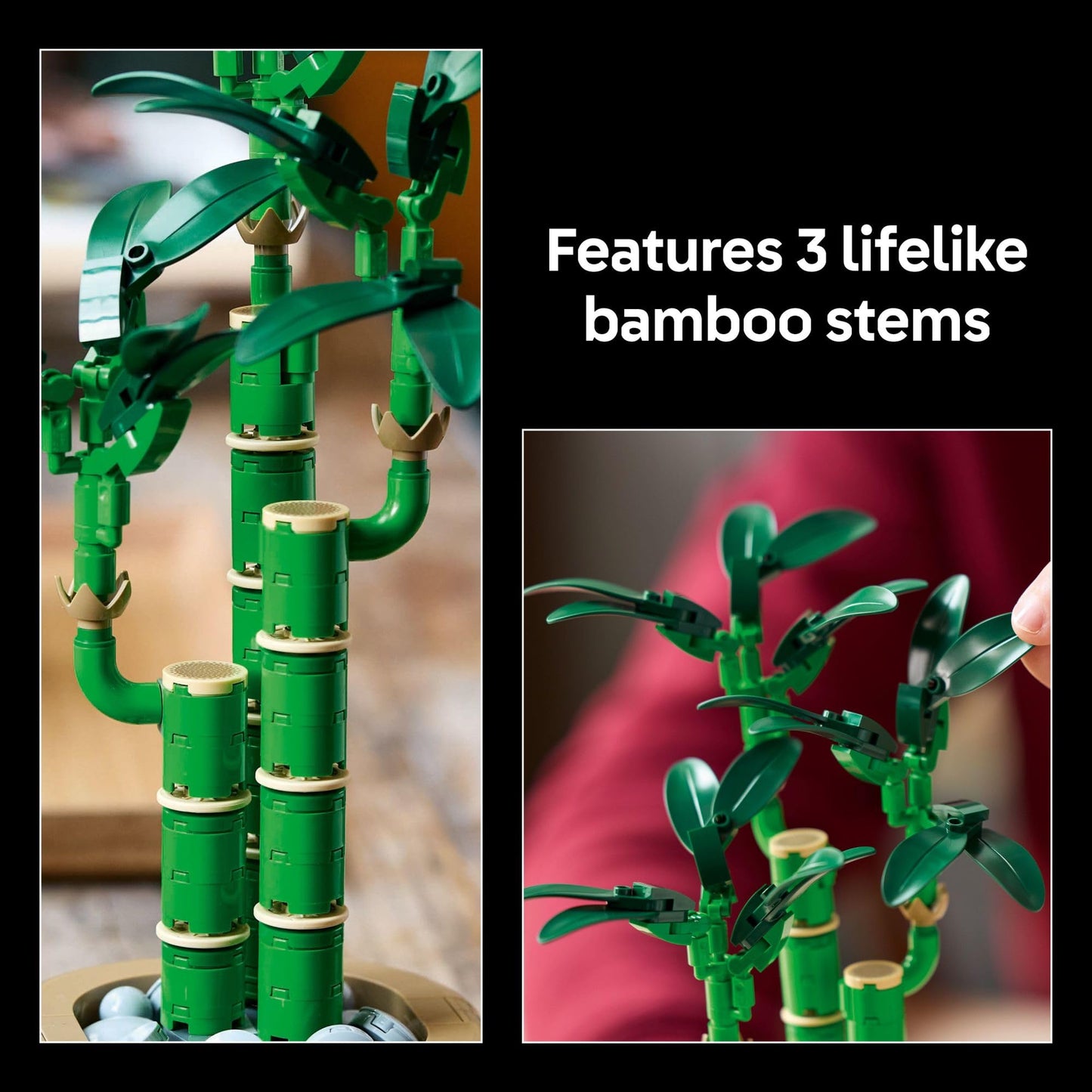 LEGO Botanicals – Cactus en Fleurs (11509) | 482 pièces | Décoration nature | Dès 9 ans - LumeraKids