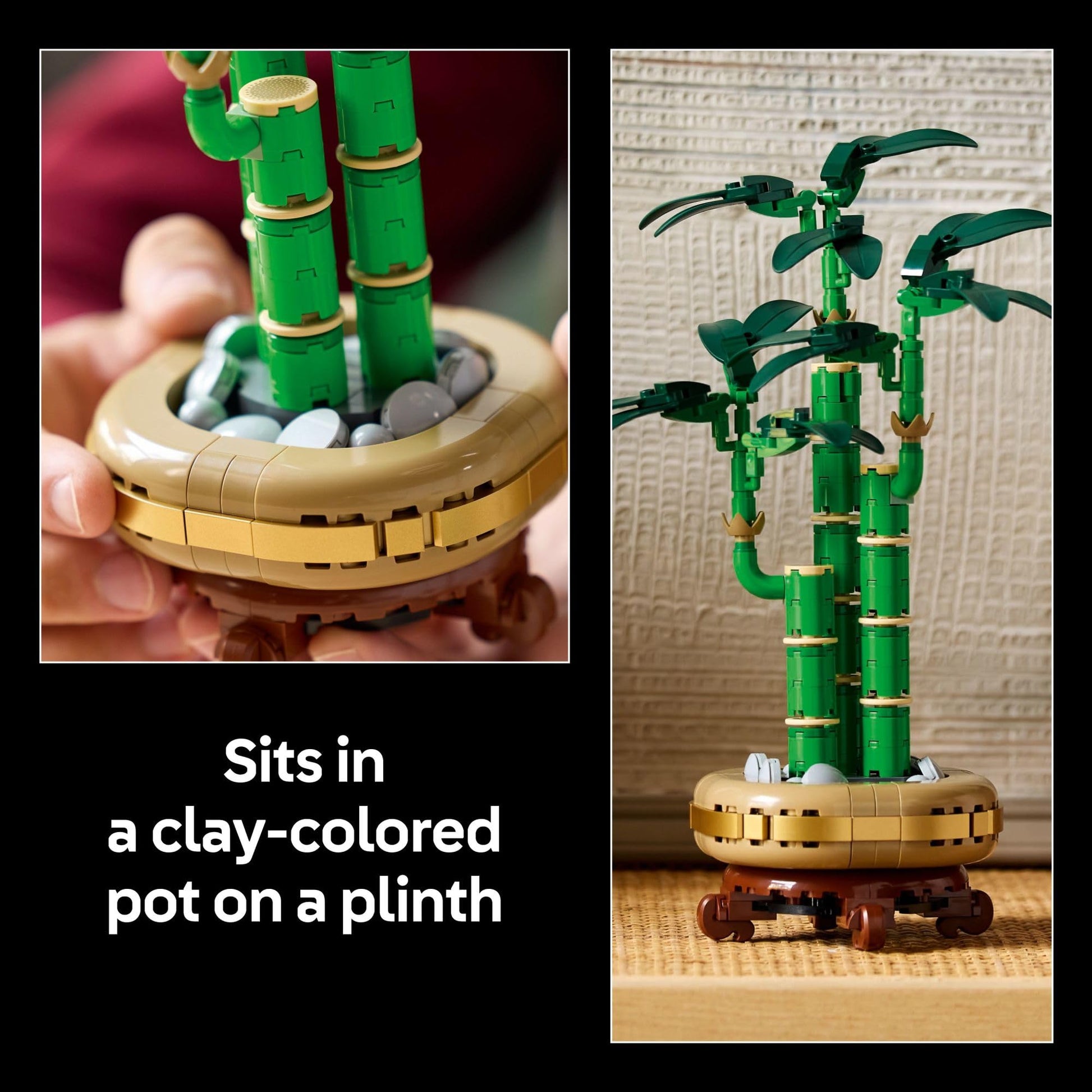 LEGO Botanicals – Cactus en Fleurs (11509) | 482 pièces | Décoration nature | Dès 9 ans - LumeraKids
