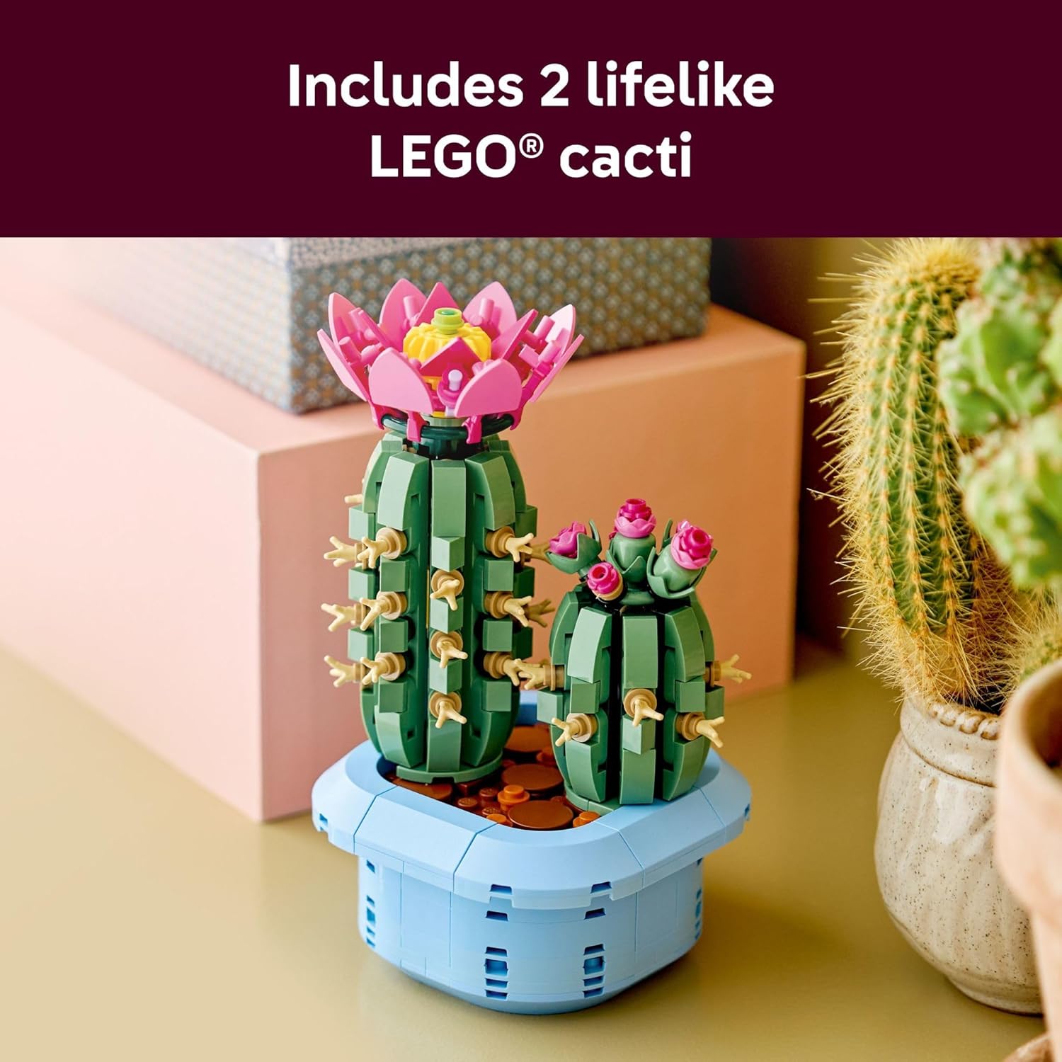 LEGO Botanicals – Cactus en Fleurs (11509) | 482 pièces | Décoration nature | Dès 9 ans - LumeraKids