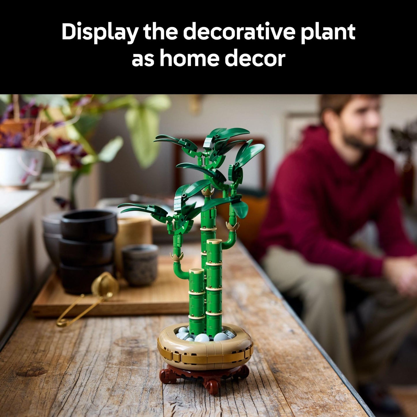 LEGO Botanicals – Cactus en Fleurs (11509) | 482 pièces | Décoration nature | Dès 9 ans - LumeraKids