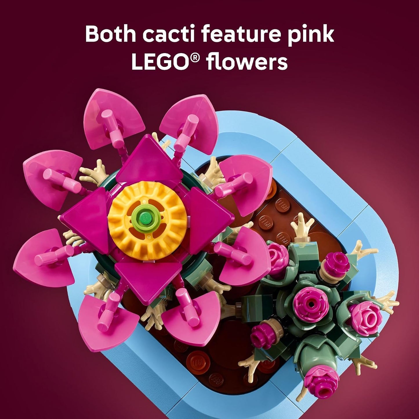 LEGO Botanicals – Cactus en Fleurs (11509) | 482 pièces | Décoration nature | Dès 9 ans - LumeraKids