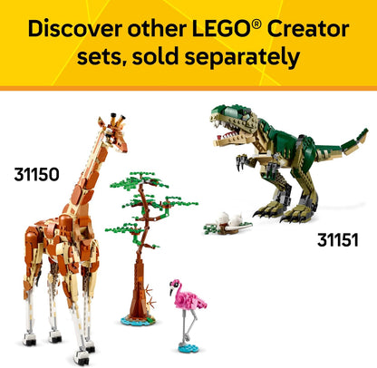 LEGO Creator 3-en-1 Dragon Médiéval – Dragon, Serpent de Mer ou Phénix (31161) - LumeraKids