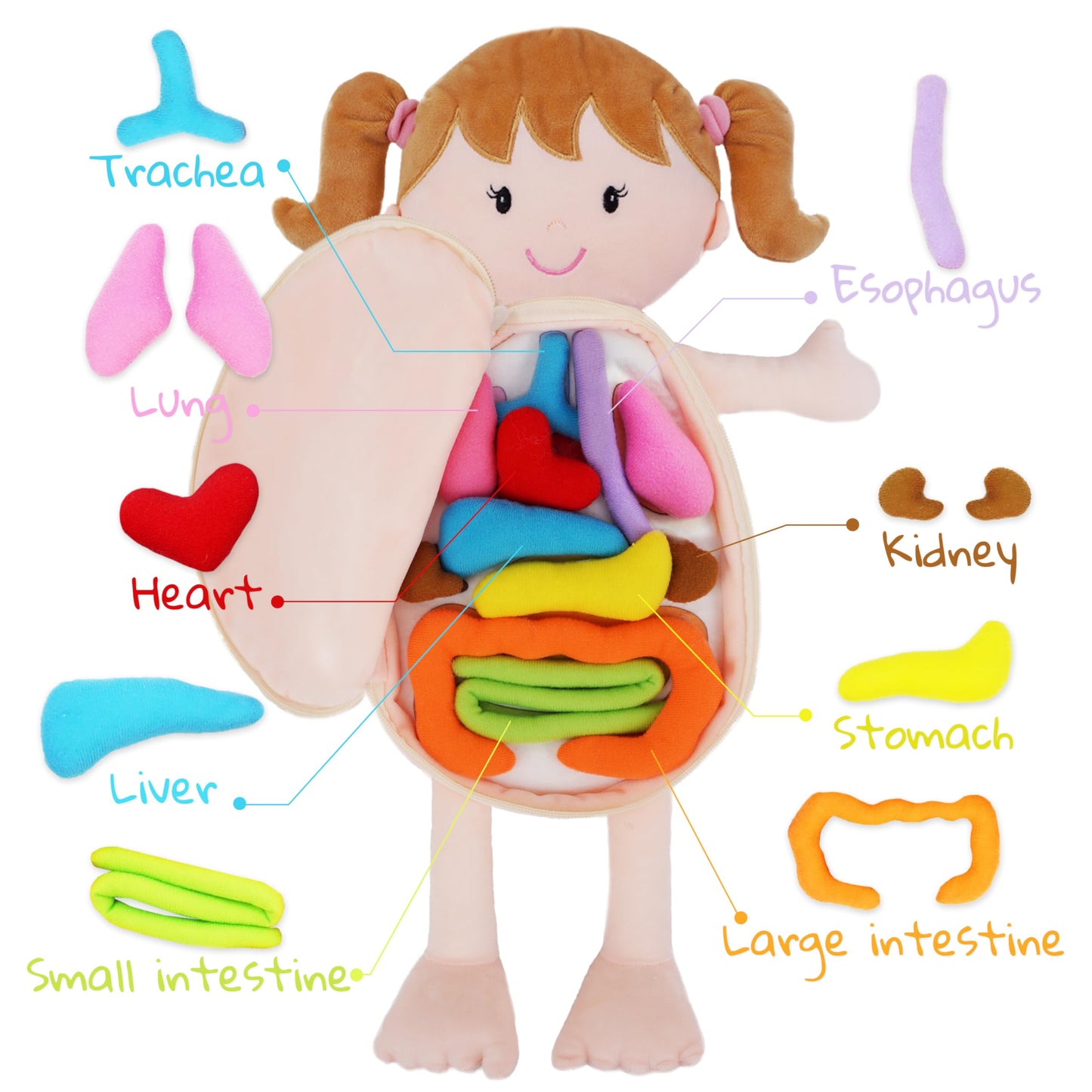 Poupée Éducative Dressy Friends – Prénom Personnalisable | Montessori Apprendre à S'habiller | Cadeau Filles & Garçons 2 ans+