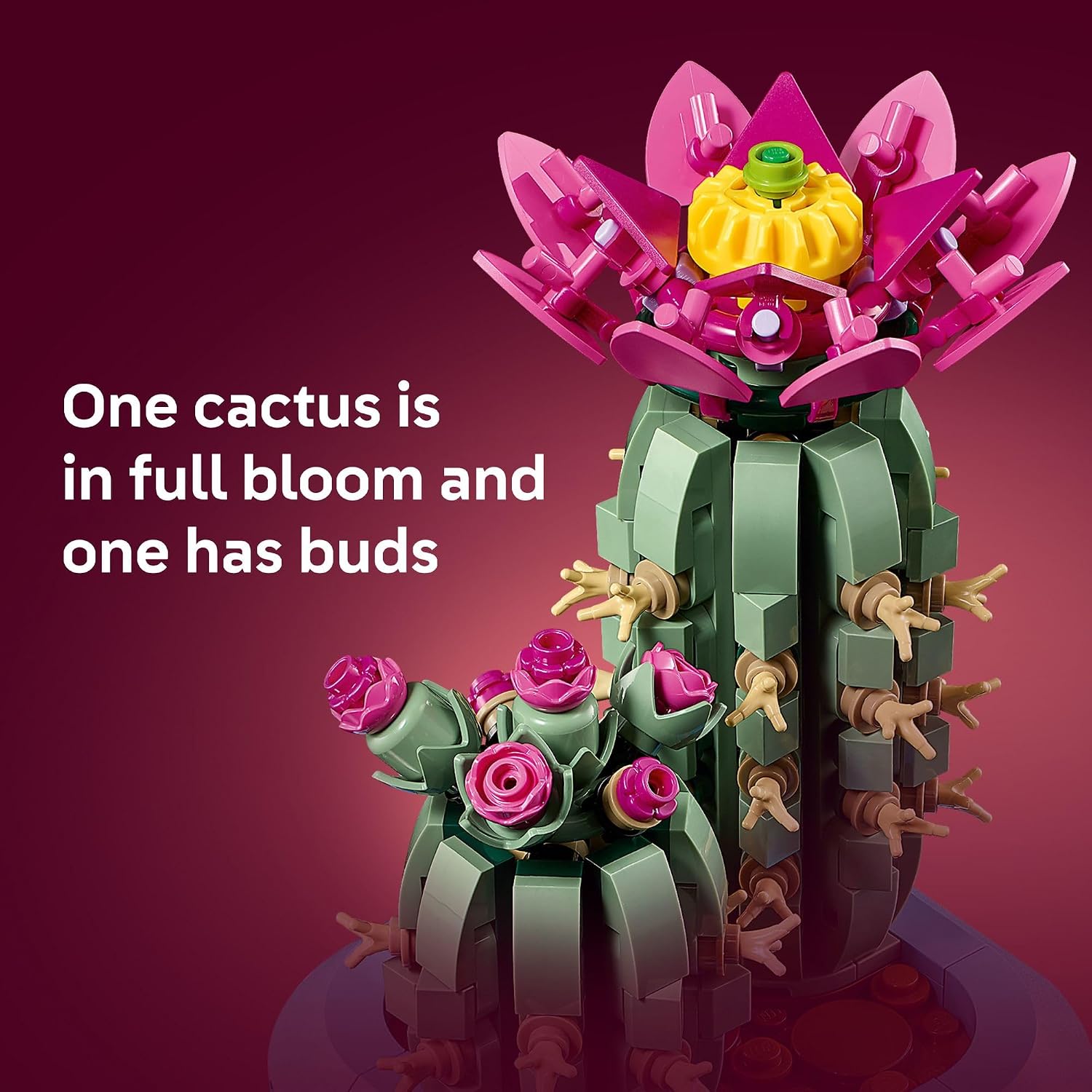LEGO Botanicals – Cactus en Fleurs (11509) | 482 pièces | Décoration nature | Dès 9 ans - LumeraKids