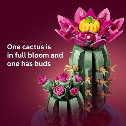 LEGO Botanicals – Cactus en Fleurs (11509) | 482 pièces | Décoration nature | Dès 9 ans - LumeraKids