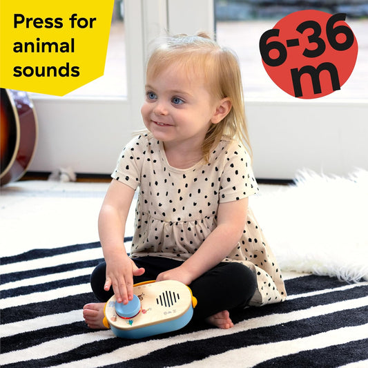 Baby Einstein + Hape Radio Musicale Discovery — Bois FSC, 40+ Sons & Lumières | Dès 6 Mois