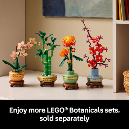 LEGO Botanicals – Cactus en Fleurs (11509) | 482 pièces | Décoration nature | Dès 9 ans - LumeraKids